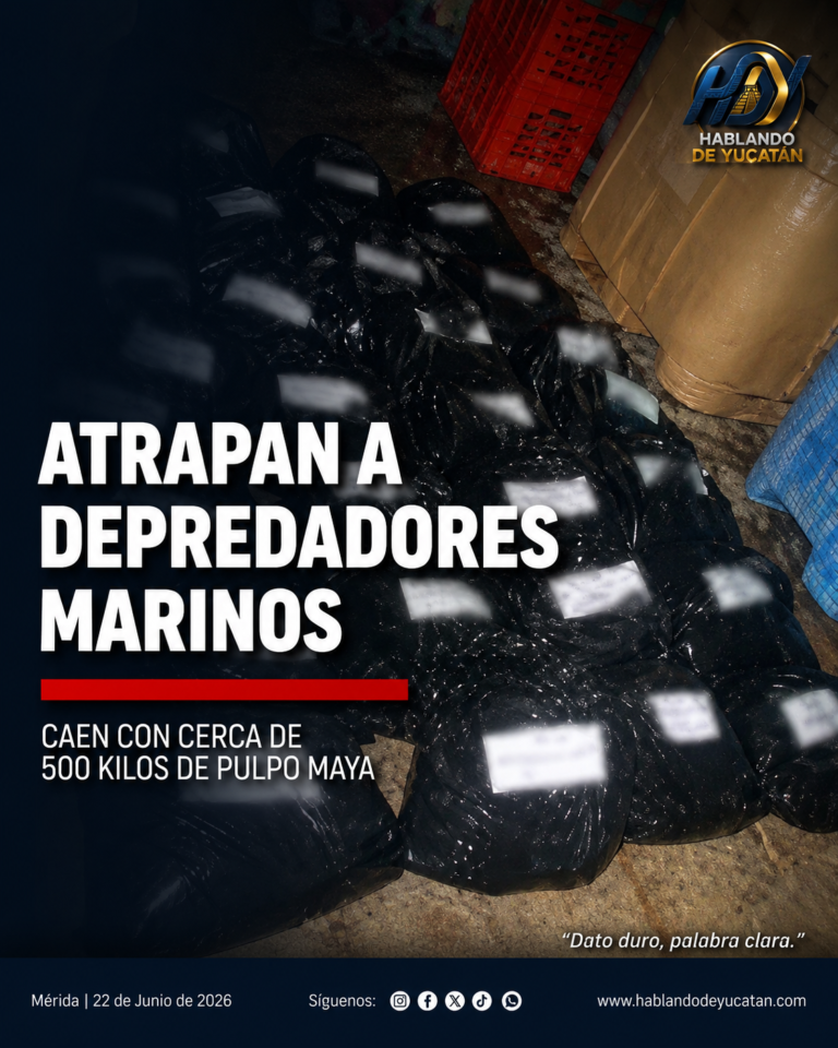 file_0000000061f071fbaf705bd409f27b63